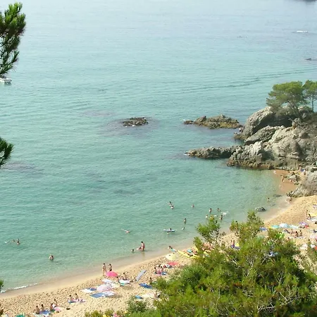 Exclusive In A Lovely Comunitary Area